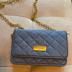 Powder Blue BCBG crossbody bag or chain wallet